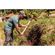 77303543PRM005I